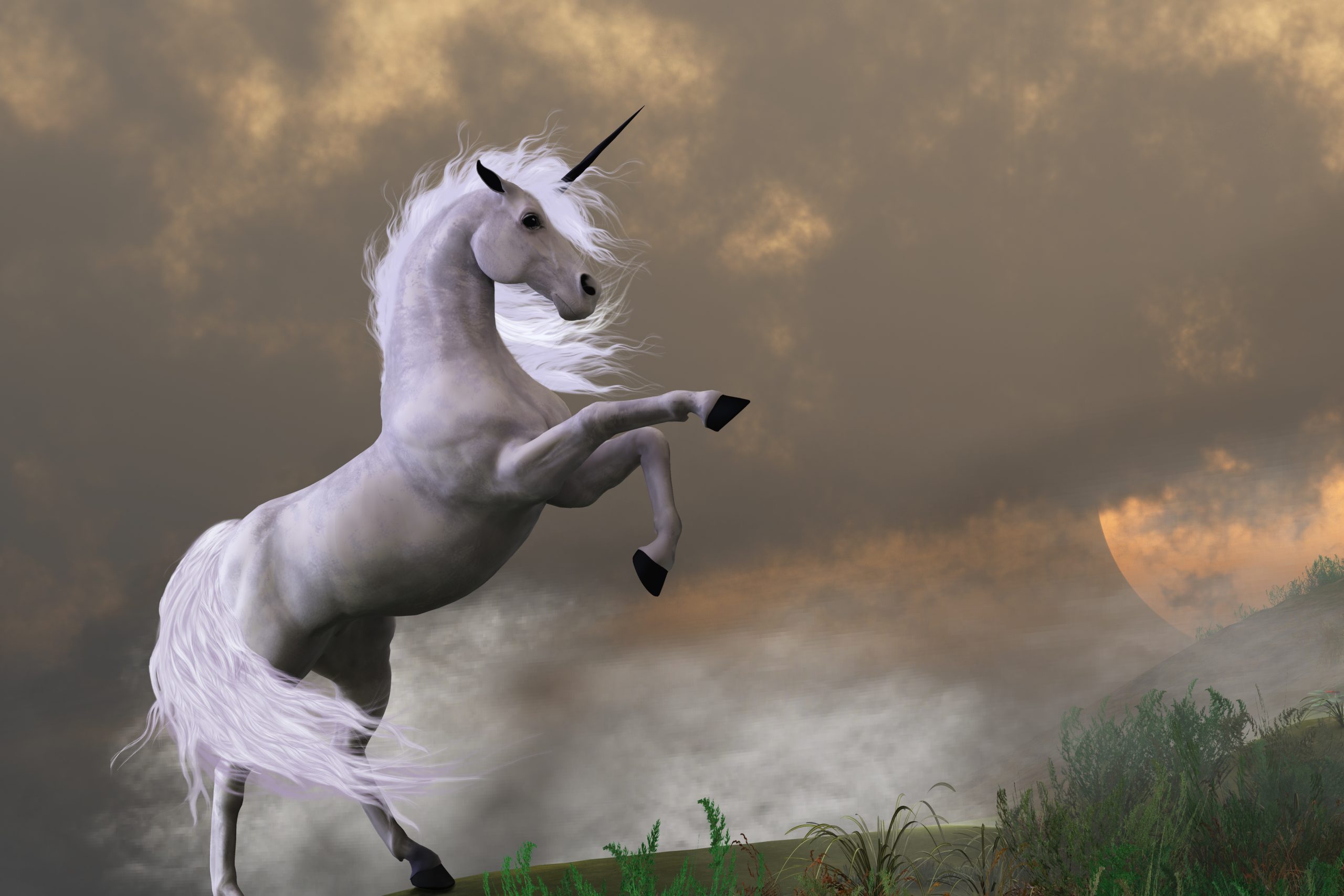 Email=Eldorado SSX Method - stand out like a unicirn